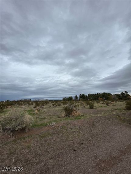 Undeveloped Land for sale in Nye County, Nevada