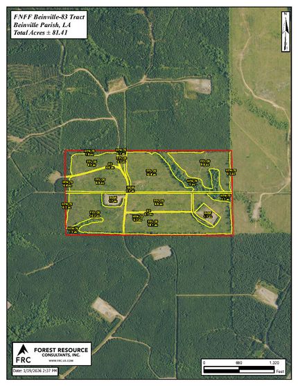 Property for sale in Bienville Parish, Louisiana