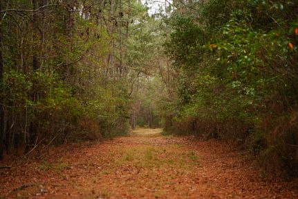 Property for sale in Hardin County, Texas