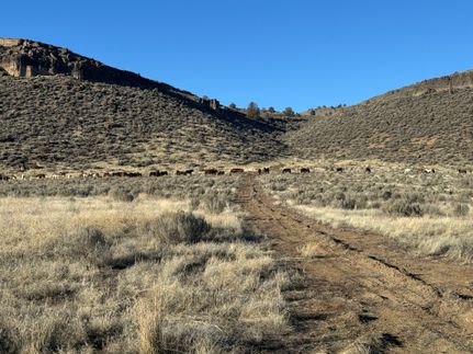 Property for sale in Harney County, Oregon