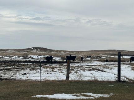 Property for sale in Grant County, North Dakota