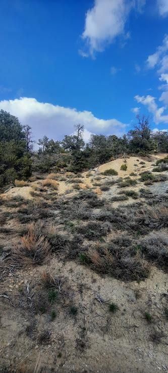 Property for sale in Esmeralda County, Nevada