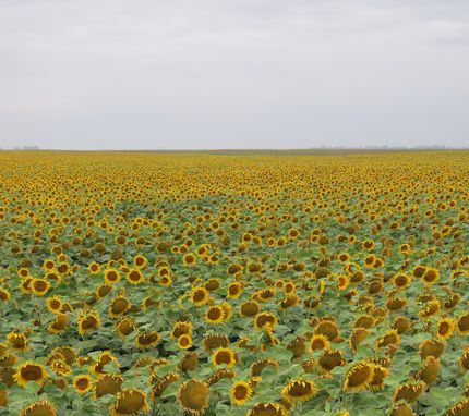 Property for sale in Adams County, North Dakota