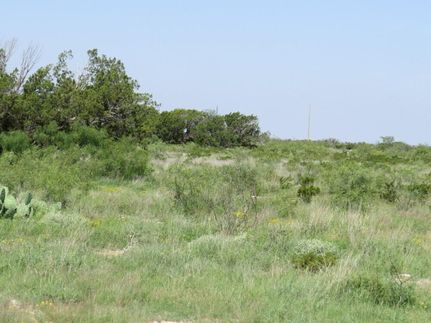 Property for sale in Pecos County, Texas