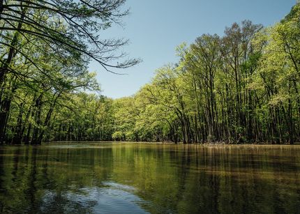 Recreational Property for sale in Carroll County, Mississippi