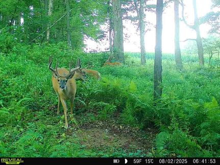 Property for sale in Jefferson County, Pennsylvania