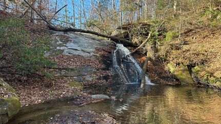 Hunting Land for sale in Wilkes County, North Carolina