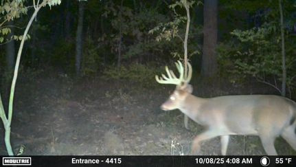 Property for sale in Jefferson County, Illinois