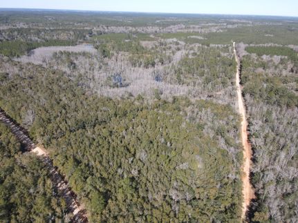 Timberland Property for sale in Covington County, Alabama