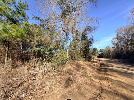 Hunting Land for sale in Tyler County, Texas