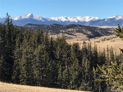 Undeveloped Land for sale in Park County, Colorado