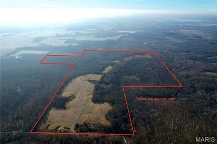 Farm Property for sale in Marion County, Illinois