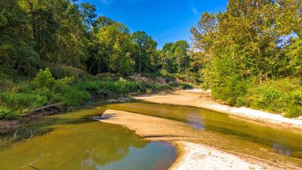 Hunting Land for sale in Polk County, Texas