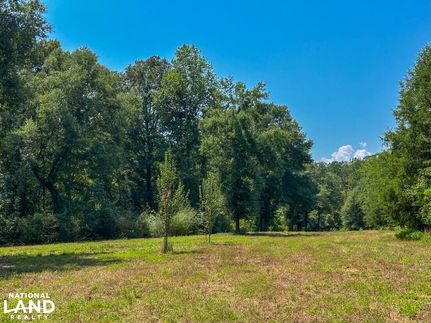 Timberland Property for sale in Hale County, Alabama