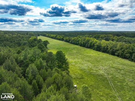 Timberland Property for sale in Lowndes County, Alabama