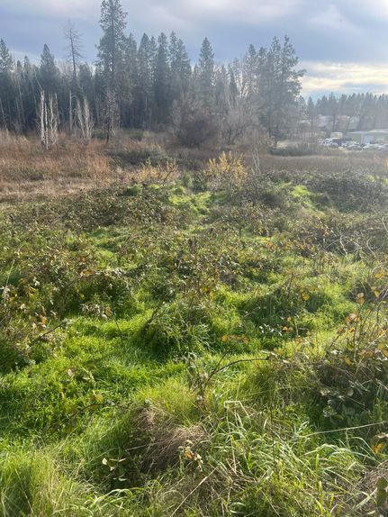 Property for sale in Nevada County, California