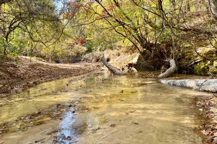 Property for sale in Franklin County, Mississippi