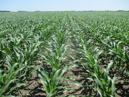 Property for sale in Lincoln County, South Dakota