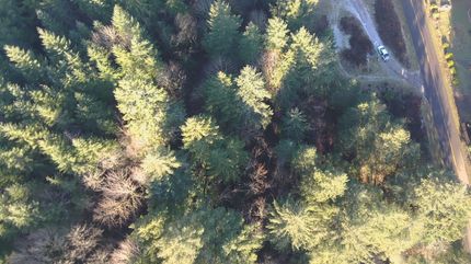 Recreational Property for sale in Lane County, Oregon