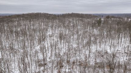 Timberland Property for sale in Greene County, Indiana