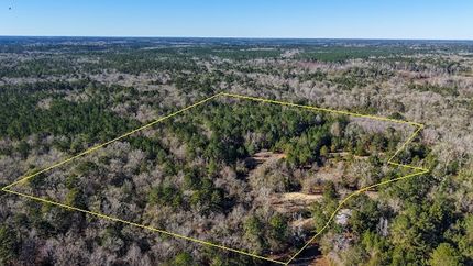 Timberland Property for sale in Walton County, Florida