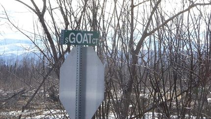 Property for sale in Matanuska-Susitna Borough, Alaska