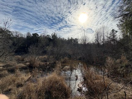 Property for sale in Covington County, Alabama