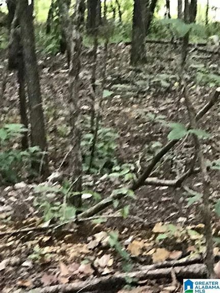 Property for sale in Talladega County, Alabama