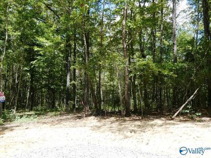 Property for sale in Walker County, Alabama