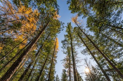 Property for sale in Flathead County, Montana