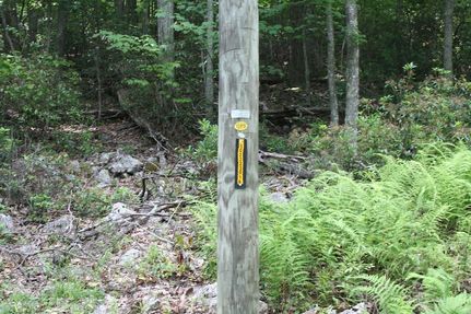 Property for sale in Highland County, Virginia