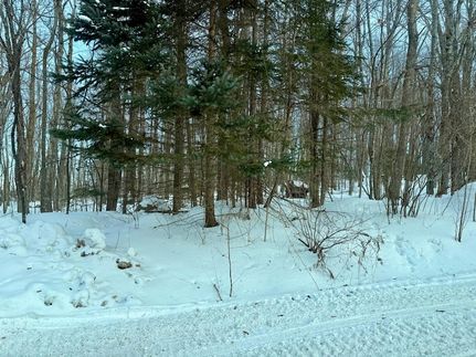 Property for sale in Forest County, Wisconsin