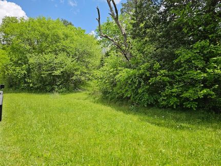 Undeveloped Land for sale in Cocke County, Tennessee