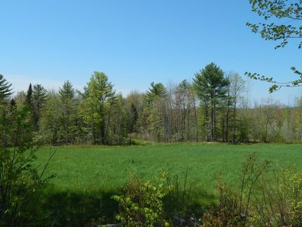 Undeveloped Land for sale in Cumberland County, Maine