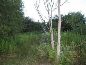 Residential Property for sale in Chenango County, New York