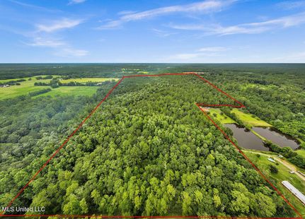 Undeveloped Land for sale in George County, Mississippi
