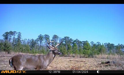 Property for sale in Washington County, Alabama