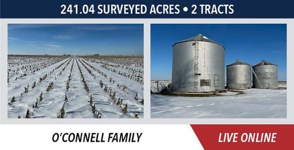 Property for sale in Grundy County, Illinois