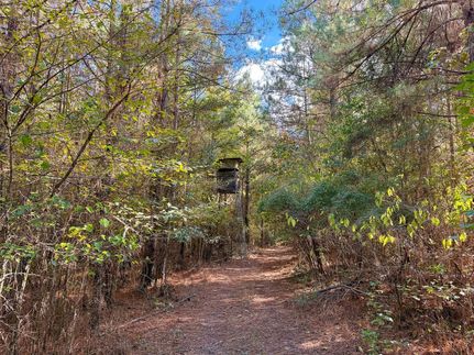 Timberland Property for sale in Cleveland County, Arkansas