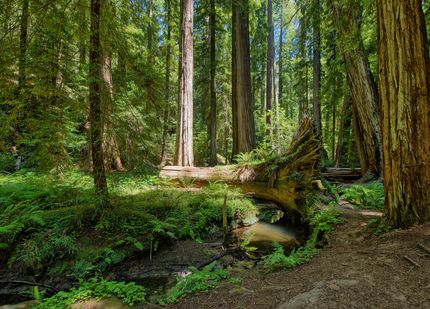 Property for sale in Mendocino County, California