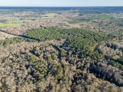 Recreational Property for sale in Covington County, Mississippi