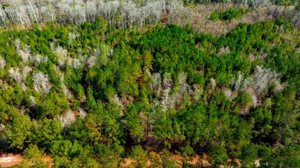 Property for sale in Bulloch County, Georgia