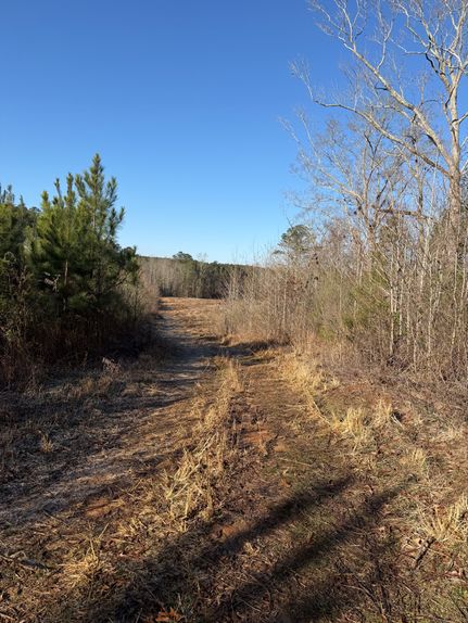 Property for sale in Leake County, Mississippi