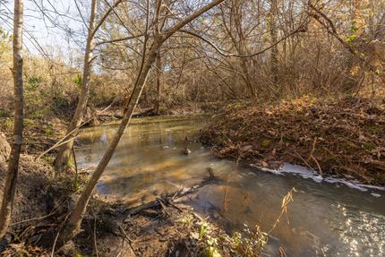 Recreational Property for sale in Wilcox County, Georgia