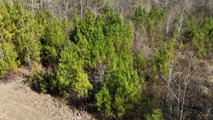 Residential Property for sale in Evans County, Georgia