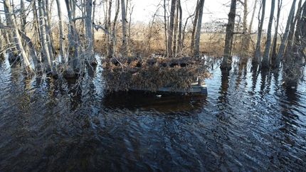 Farm Property for sale in Saint Francis County, Arkansas