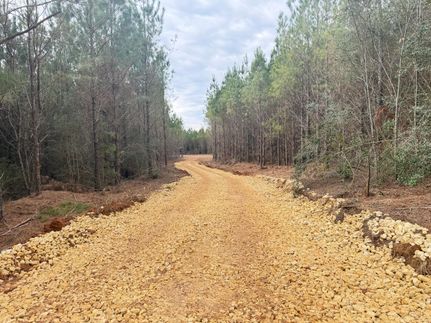 Timberland Property for sale in Covington County, Alabama