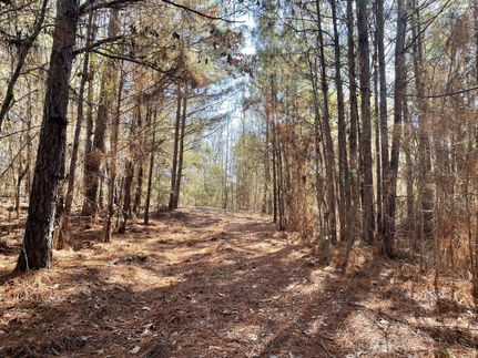 Undeveloped Land for sale in Smith County, Texas