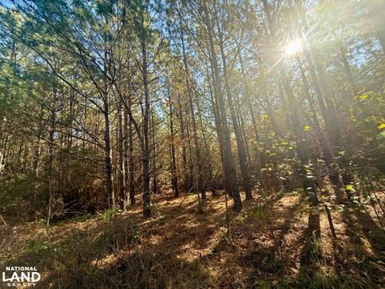 Hunting Land for sale in Halifax County, North Carolina