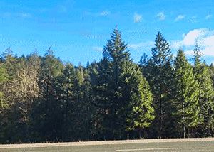 Residential Property for sale in Josephine County, Oregon